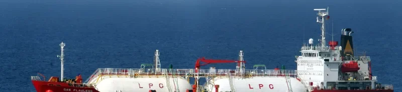 GAS FLAWLESS General Cargo IMO 9354222