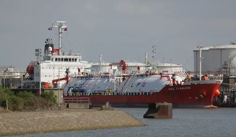 GAS FLAWLESS General Cargo IMO 9354222 photo 6