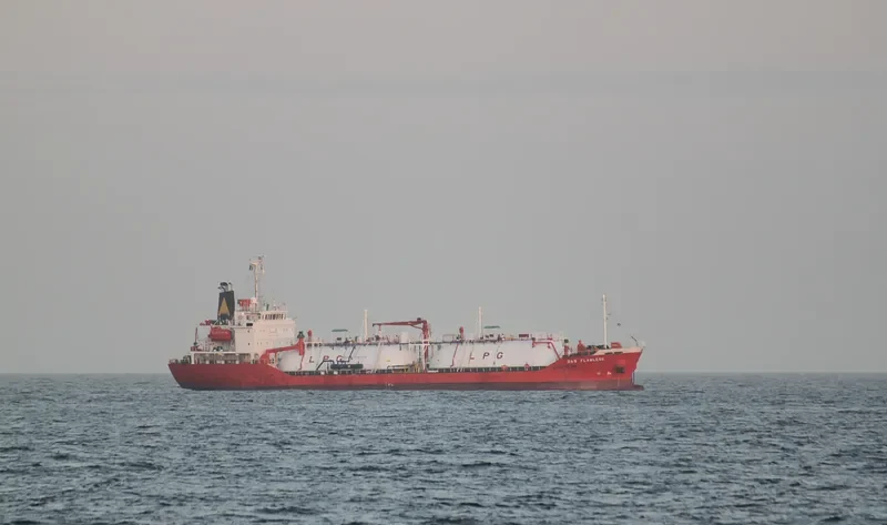 GAS FLAWLESS General Cargo IMO 9354222 photo 8