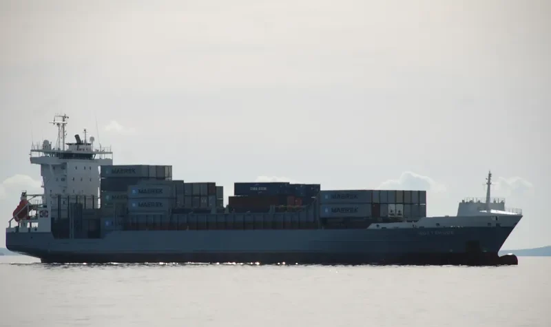 DAGMAR Container Ship IMO 9354399