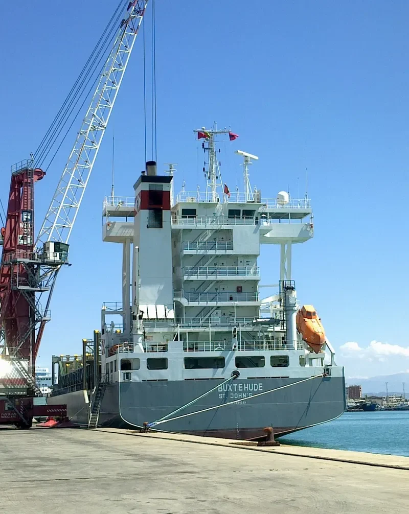 DAGMAR Container Ship IMO 9354399 photo 7