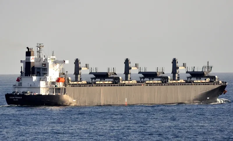 OCEAN PEGASUS Bulk Carrier IMO 9354507 photo 4