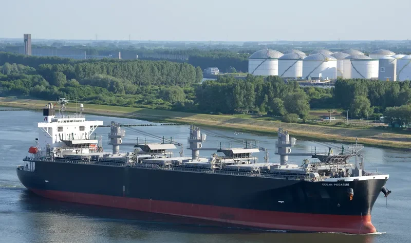 OCEAN PEGASUS Bulk Carrier IMO 9354507 photo 6
