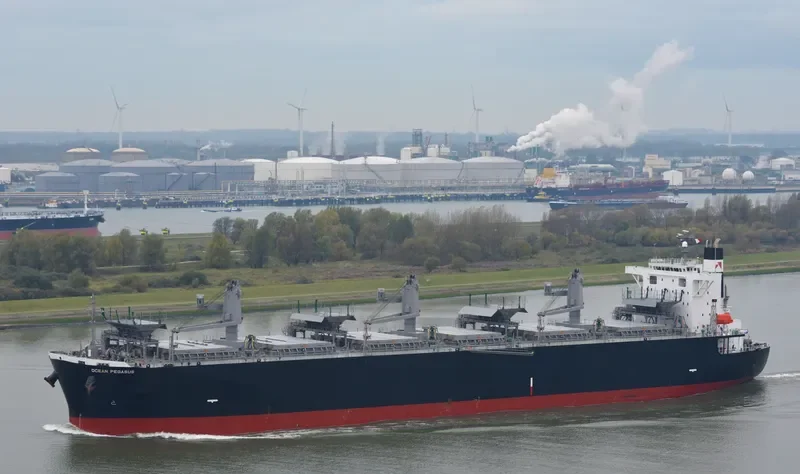 OCEAN PEGASUS Bulk Carrier IMO 9354507 photo 7