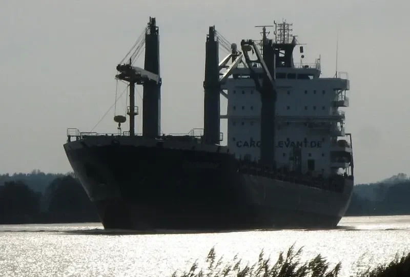 A.IDEFIX Container Ship IMO 9354662 photo 9