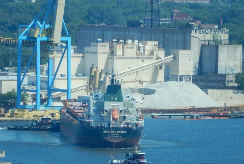 MALLIKA NAREE Bulk Carrier IMO 9354739 photo 3