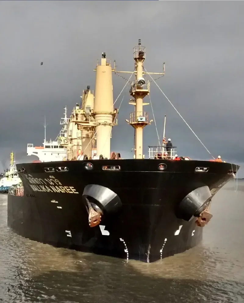 MALLIKA NAREE Bulk Carrier IMO 9354739 photo 6