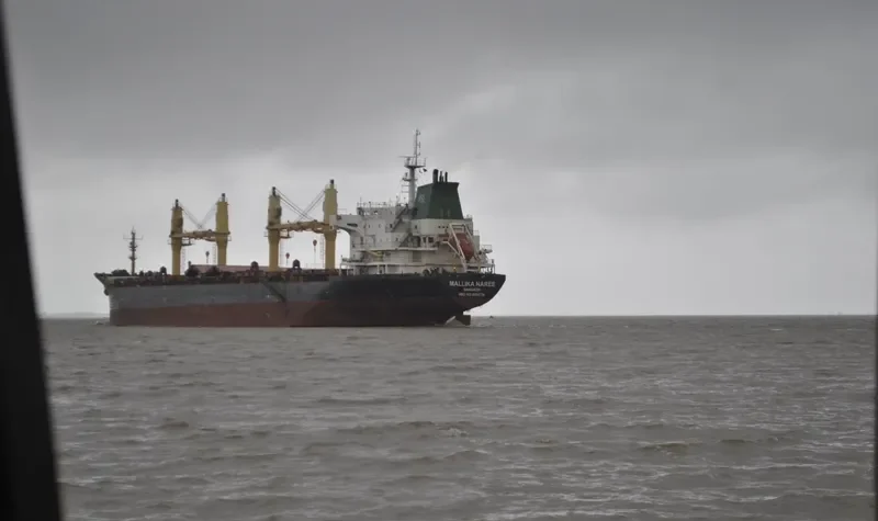 MALLIKA NAREE Bulk Carrier IMO 9354739 photo 8