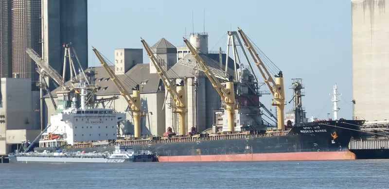 MOOKDA NAREE Bulk Carrier IMO 9354741 photo 4
