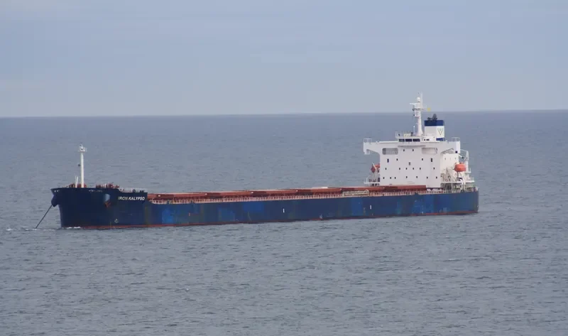 STAR NINA Bulk Carrier IMO 9354832 photo 8