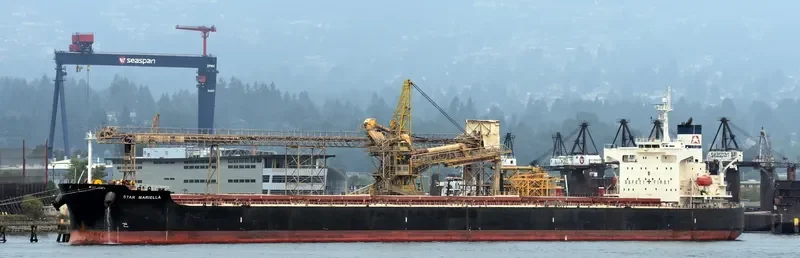STAR MARIELLA Bulk Carrier IMO 9354868
