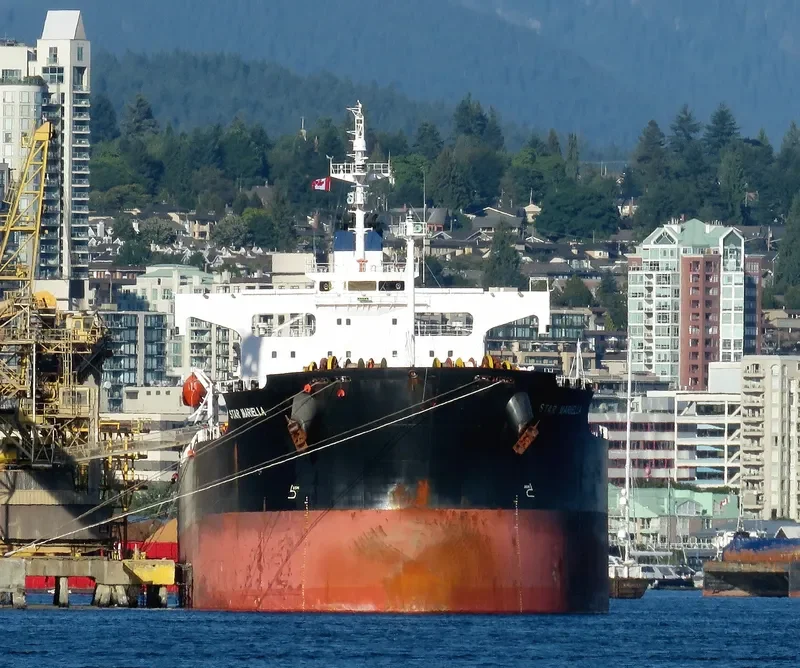 STAR MARIELLA Bulk Carrier IMO 9354868 photo 4