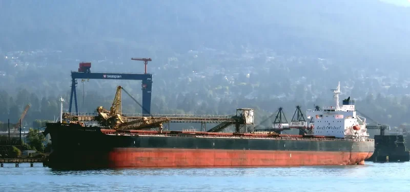 STAR MARIELLA Bulk Carrier IMO 9354868 photo 8