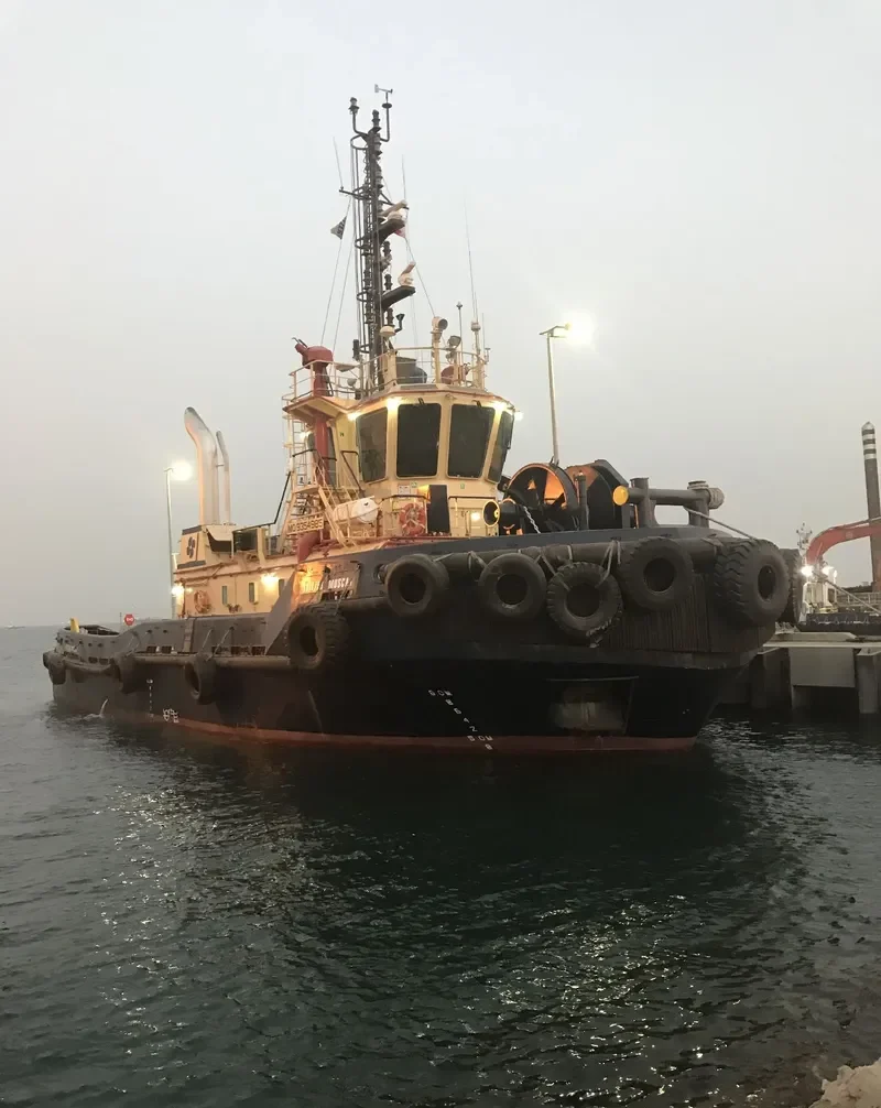 MEGALOCHARI VII General Cargo IMO 9354985 photo 8