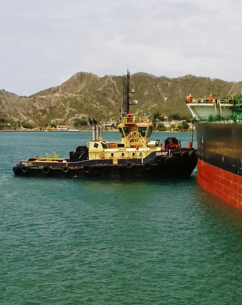 SVITZER ENDEAVOUR General Cargo IMO 9355006 photo 6