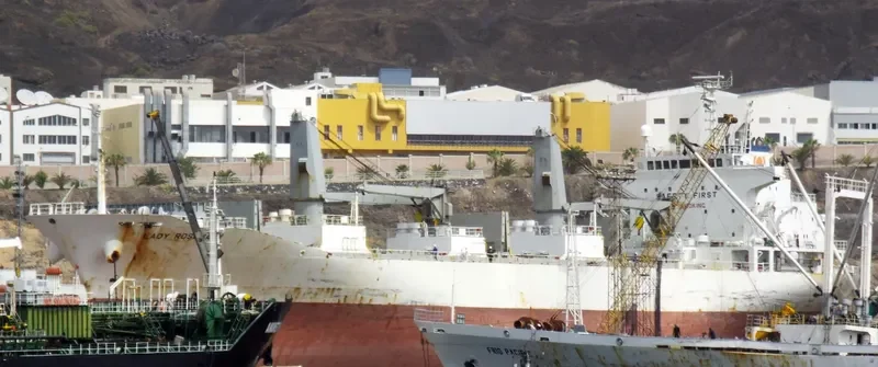 LADY ROSEMARY General Cargo IMO 9355044 photo 3