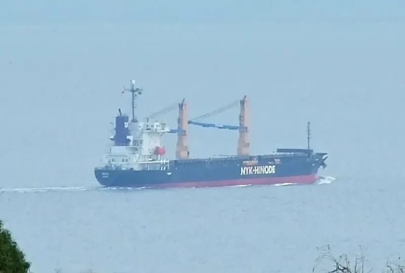 MUTSU General Cargo IMO 9355070 photo 8