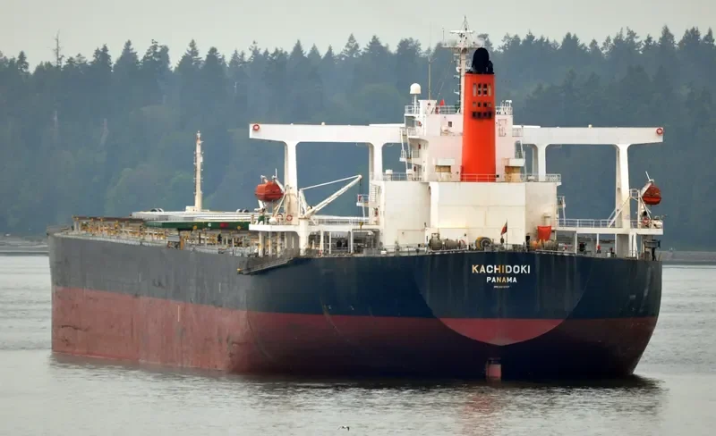 KACHIDOKI Bulk Carrier IMO 9355147 photo 5