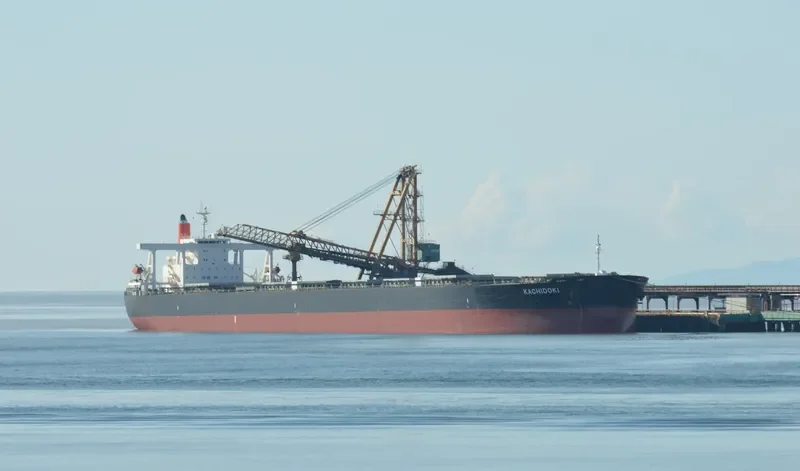 KACHIDOKI Bulk Carrier IMO 9355147 photo 10