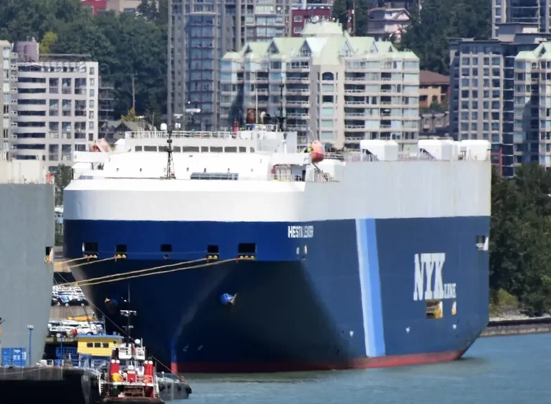 HESTIA LEADER General Cargo IMO 9355226 photo 3