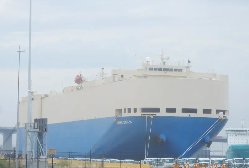 GRAND DAHLIA General Cargo IMO 9355238