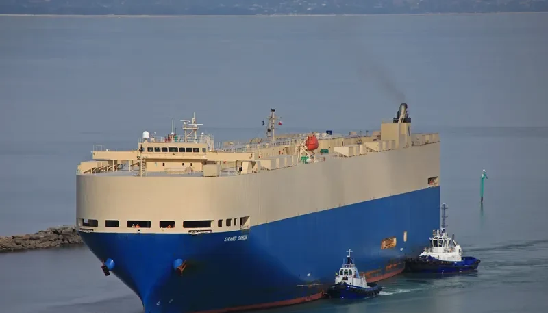 GRAND DAHLIA General Cargo IMO 9355238 photo 5