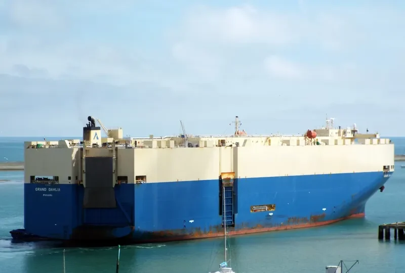 GRAND DAHLIA General Cargo IMO 9355238 photo 7