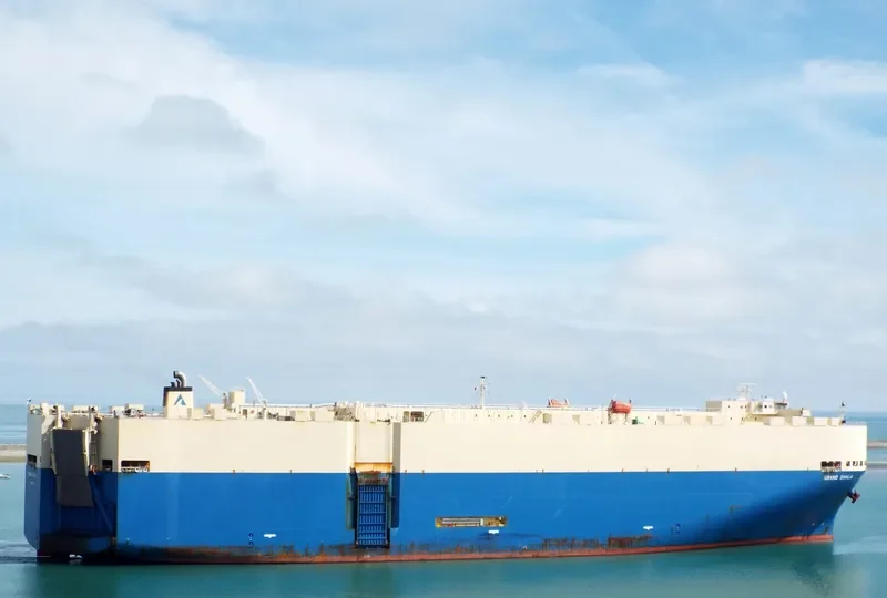 GRAND DAHLIA General Cargo IMO 9355238 photo 8