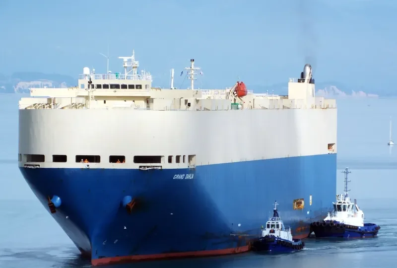 GRAND DAHLIA General Cargo IMO 9355238 photo 10