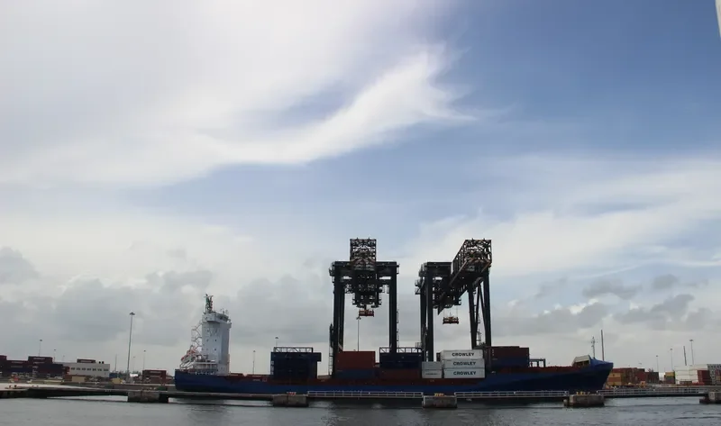 PAVO J Container Ship IMO 9355458