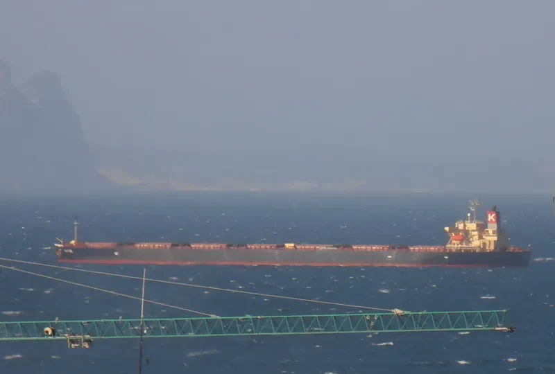 ELETTRA Bulk Carrier IMO 9355496
