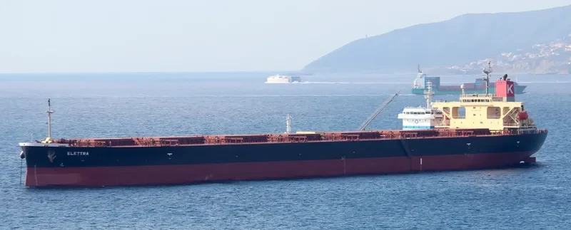 ELETTRA Bulk Carrier IMO 9355496 photo 3