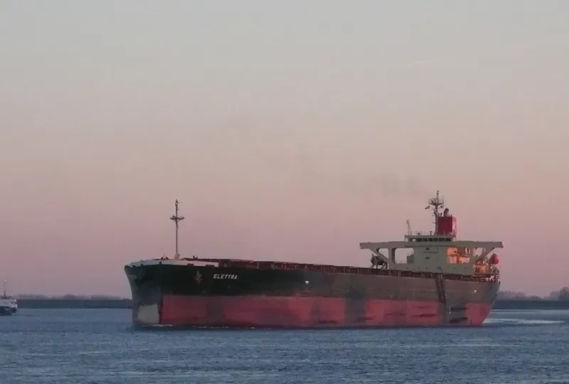 ELETTRA Bulk Carrier IMO 9355496 photo 5