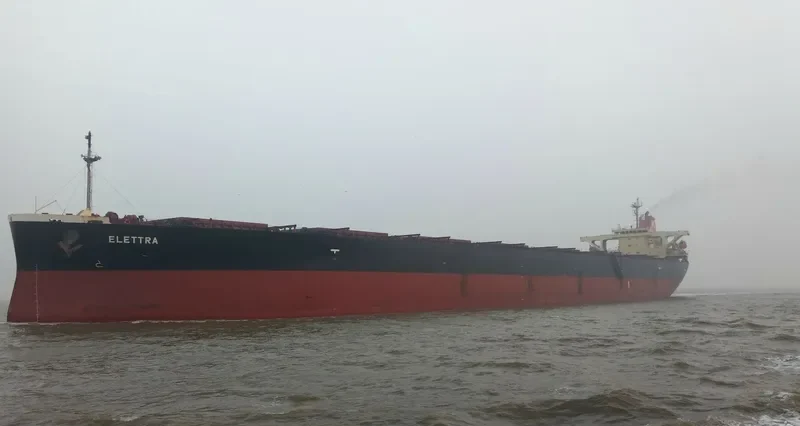ELETTRA Bulk Carrier IMO 9355496 photo 8
