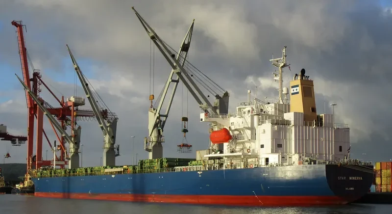 STAR MINERVA General Cargo IMO 9355513 photo 4