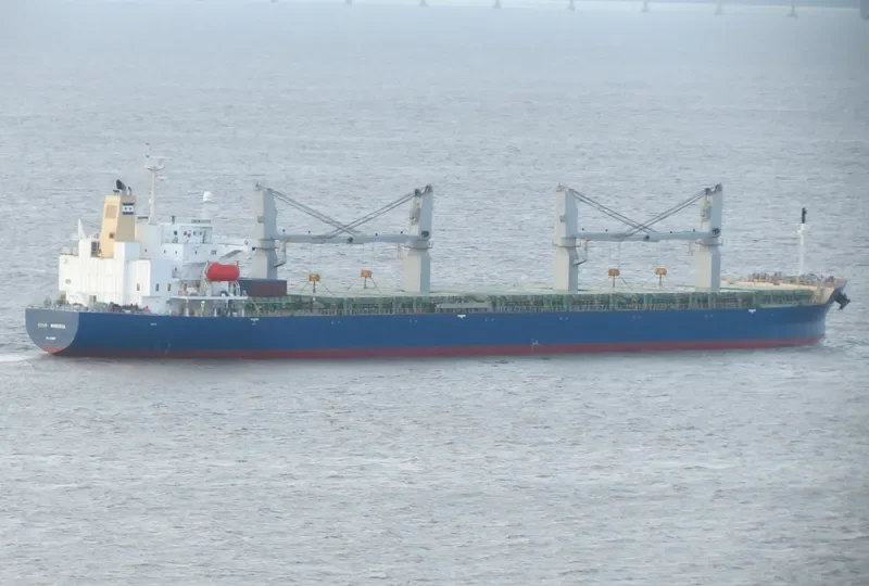 STAR MINERVA General Cargo IMO 9355513 photo 10