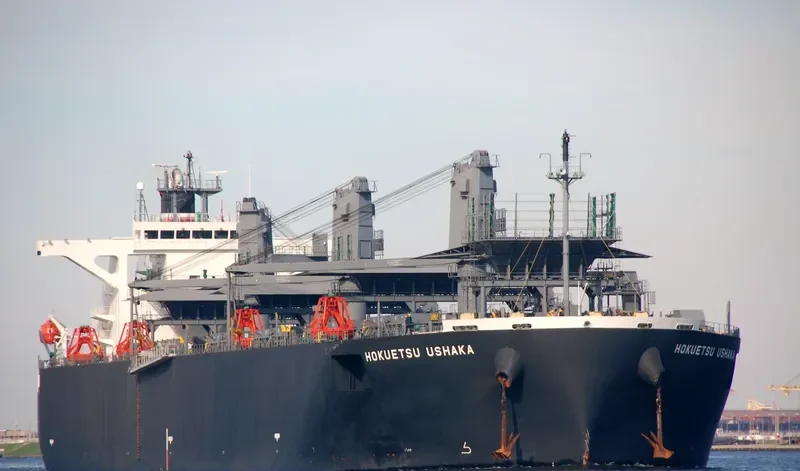 HOKUETSU USHAKA Bulk Carrier IMO 9355537 photo 3