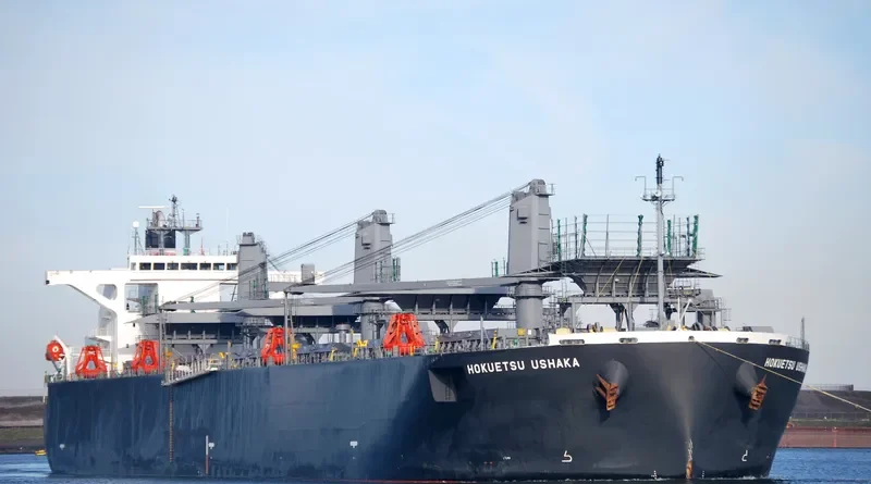 HOKUETSU USHAKA Bulk Carrier IMO 9355537 photo 5