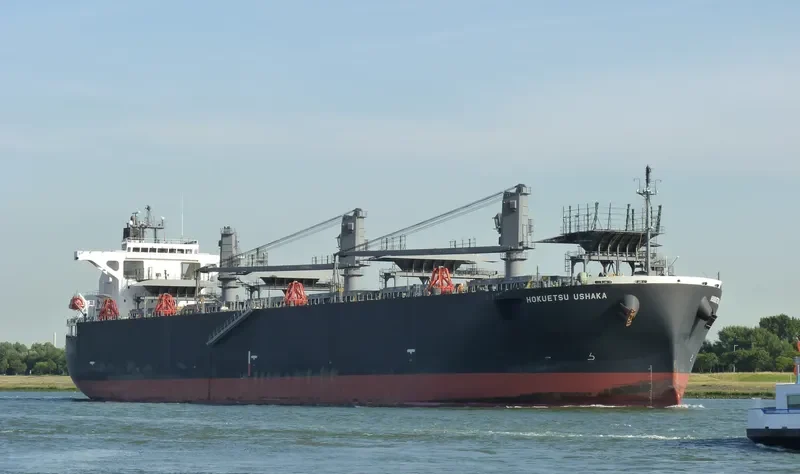 HOKUETSU USHAKA Bulk Carrier IMO 9355537 photo 7