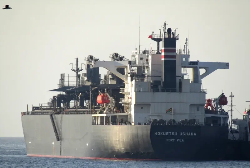 HOKUETSU USHAKA Bulk Carrier IMO 9355537 photo 9