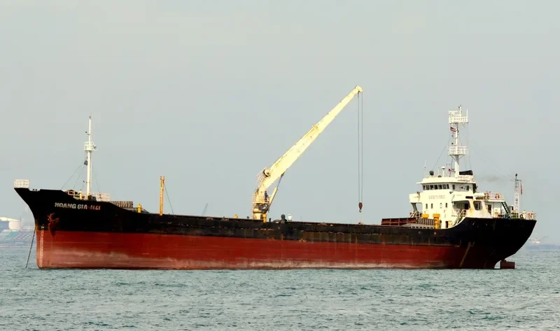 THUAN PHAT 88 ALCI General Cargo IMO 9355642 photo 2