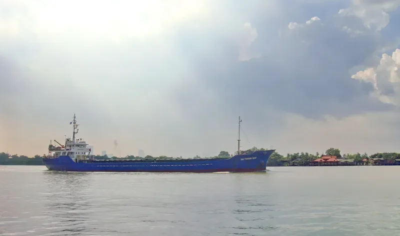 TRUONG SON 36 General Cargo IMO 9355721 photo 2
