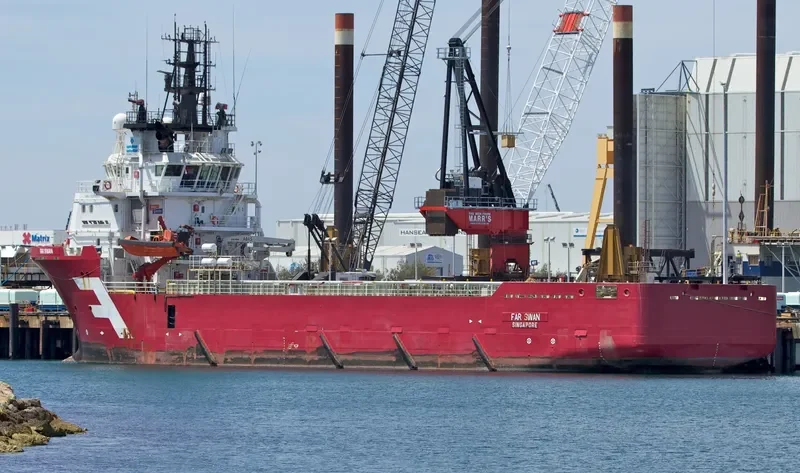 FAR SWAN General Cargo IMO 9355953 photo 4