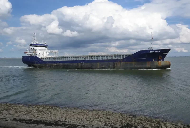 CEDERBORG General Cargo IMO 9356567 photo 3