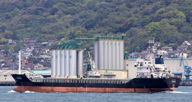 SUN FORTUNE Bulk Carrier IMO 9356775 photo 3