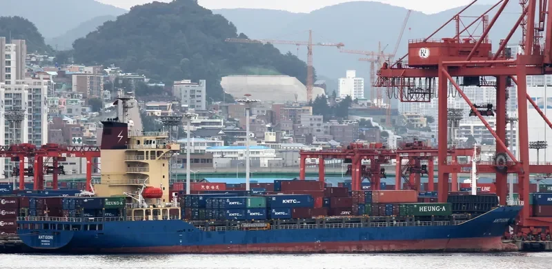 HF WEALTH Container Ship IMO 9356799