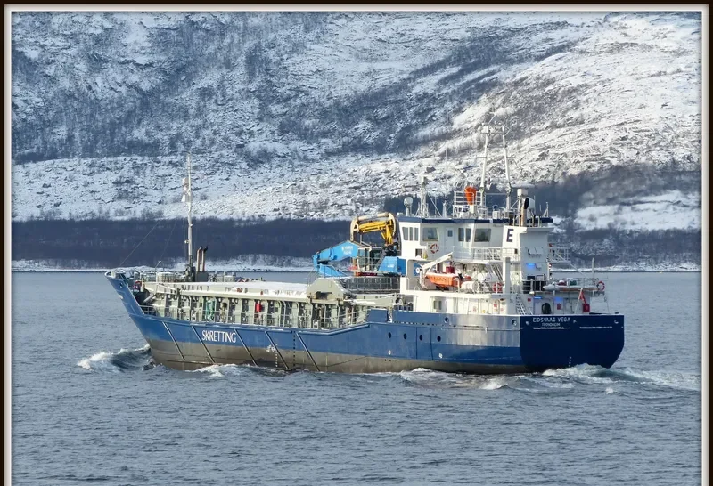 EIDSVAAG VEGA General Cargo IMO 9356854 photo 6