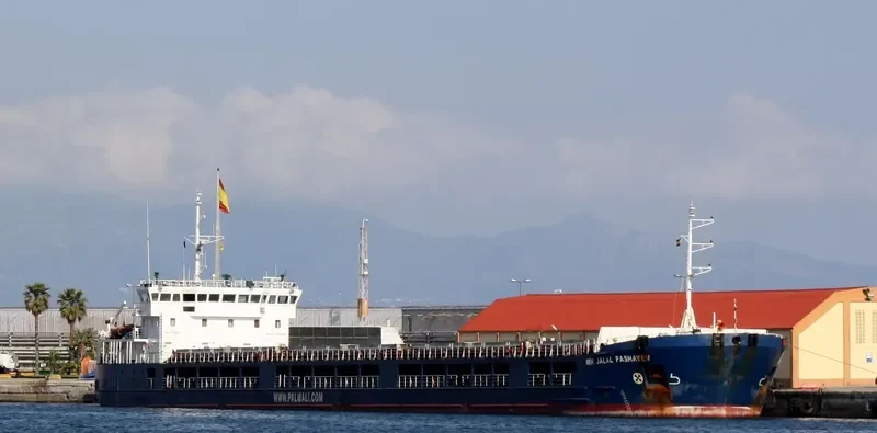 ANGORA 4 General Cargo IMO 9356969 photo 10