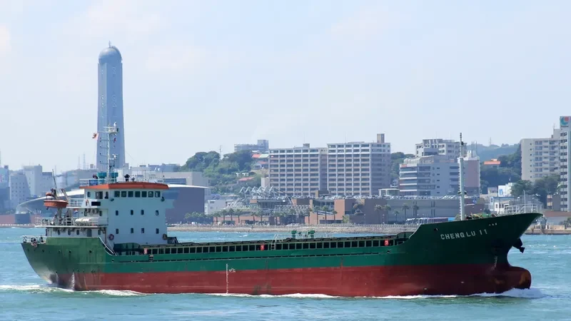 EAST WELL General Cargo IMO 9357054 photo 10