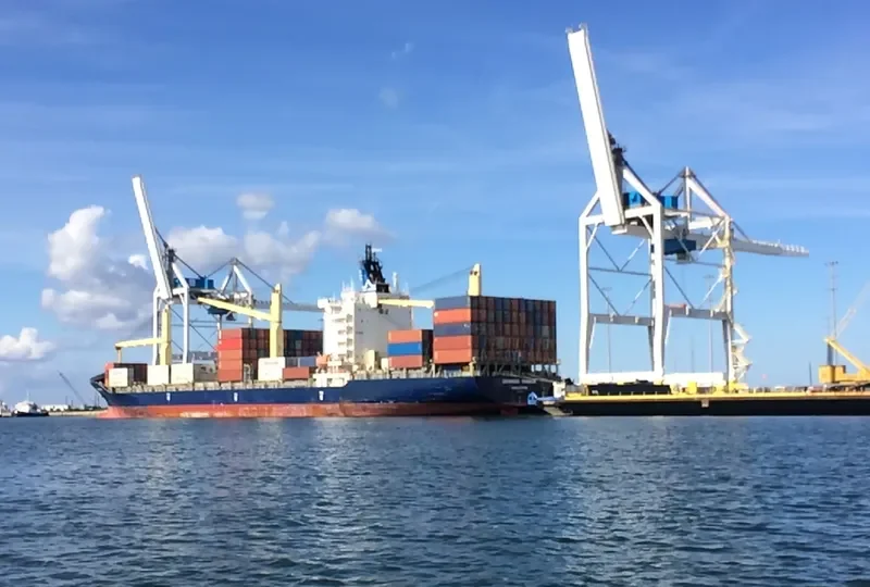 MSC GEORGIA II Container Ship IMO 9357107